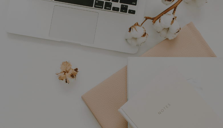 HSP Marketing: Dein sanfter Weg zum Erfolg