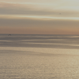 Somatischer Ansatz im Marketing: Warum dein Content nicht wirkt, wenn dein Nervensystem im Stress ist