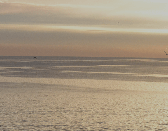 Was ich über Resonanz im Marketing gelernt habe