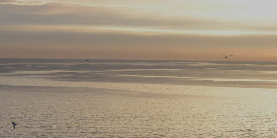 Was ich über Resonanz im Marketing gelernt habe